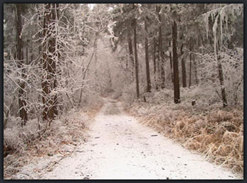 snow covered trail in West Kelowna